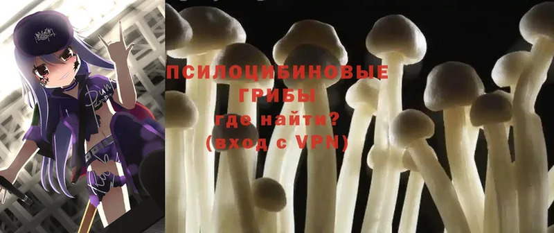 Галлюциногенные грибы MAGIC MUSHROOMS  Жуковский 